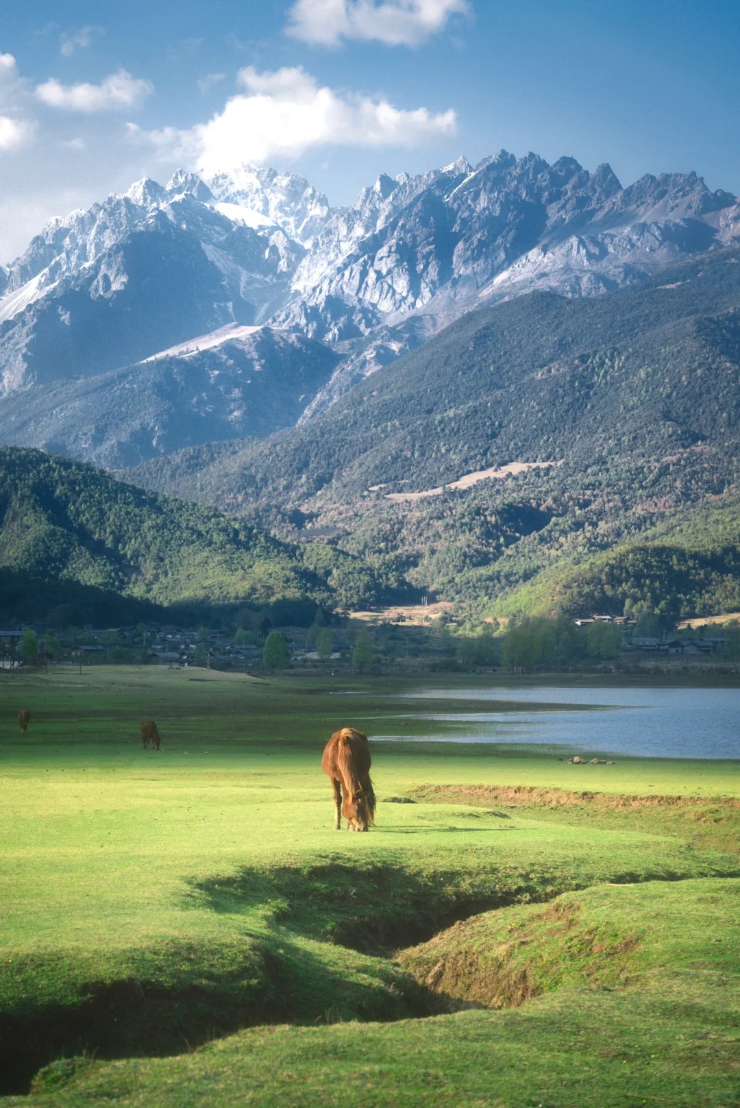 文海—藏在玉龙雪山脚下的油画世界_1_虹周周🌈_云南-来自52tours 我爱旅游网